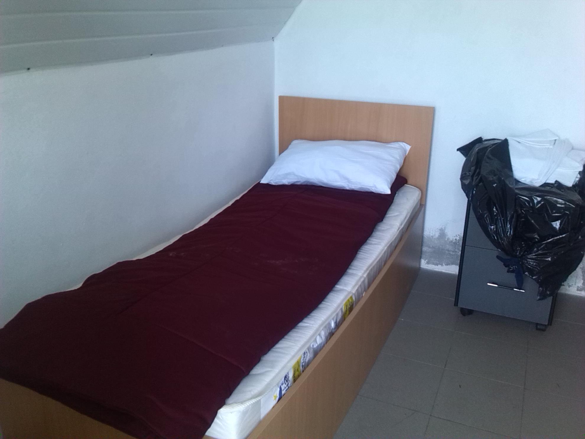 lilieci teleorman - img20140501081406.jpg